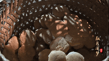 A4E30C012CF5EB36C73C319B2F39ADB2671D8386_size821_w360_h202.gif
