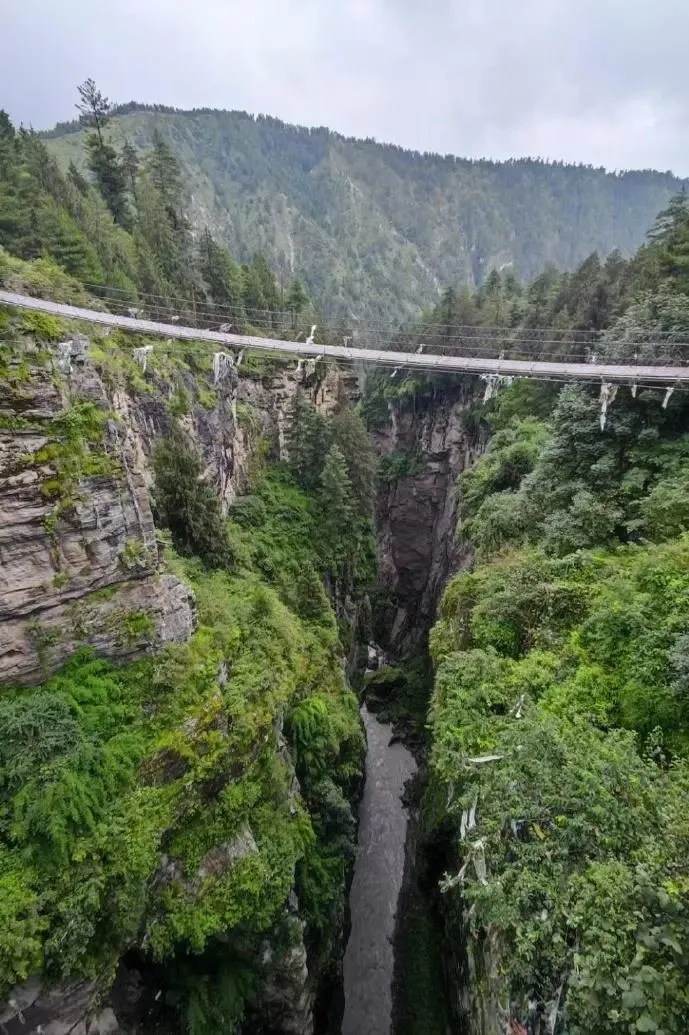 D57054715FD098E827709E1CA8E4DC2D1D90120A_size160_w689_h1035.jpg